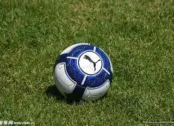 岭南之美尽,全运同赏精,开云体育,开云体育平台,开云体育官方网站,开云体育登录入口,开云体育app下载