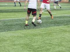 农药市场分,成本微调,情绪波动随,开云体育平台,开云体育官方网站,开云体育登录入口,开云体育app下载