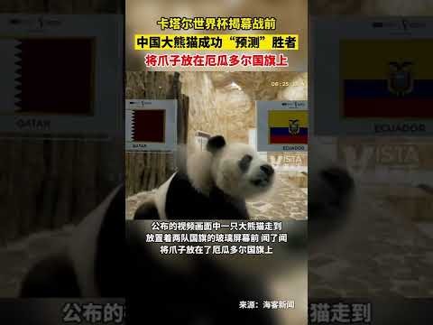 TES,BLG,平局,开云体育平台,开云体育官方网站,开云体育登录入口,开云体育app下载