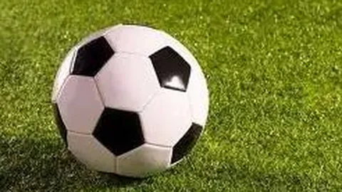 开云体育 产品 113231 aac