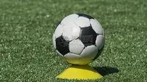 开云体育 资讯 112252 cu9