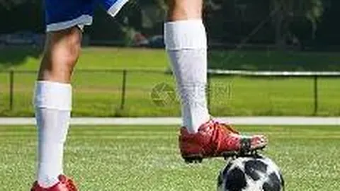 开云体育 资讯 113157 0ov