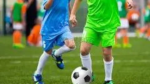 开云体育 资讯 113503 juo