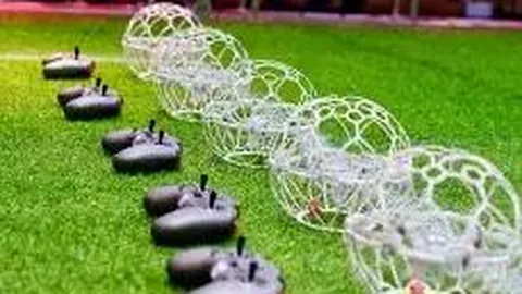 万达集团2022年8月重要纪事